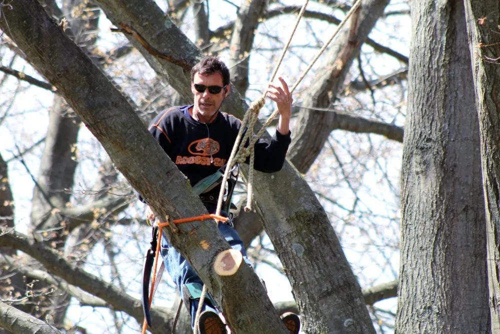 Professional yard maintenance in Muskegon, MI - Top-Tier Outdoor Services