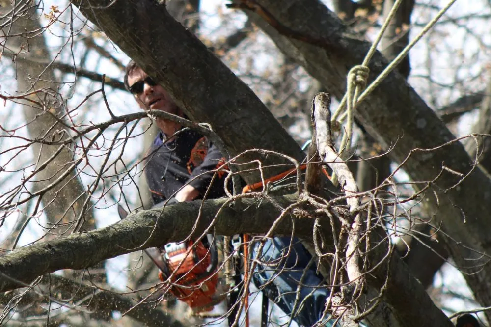 Top-rated yard cleanup service in Muskegon, MI - Top-Tier Outdoor Services