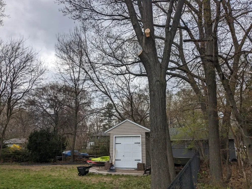 Affordable landscape design experts serving Muskegon, MI - Top-Tier Outdoor Services