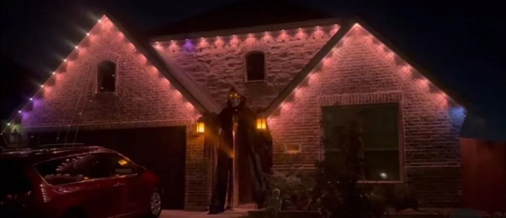 Affordable yard cleanup service experts serving Frisco, TX - Top Tier RW