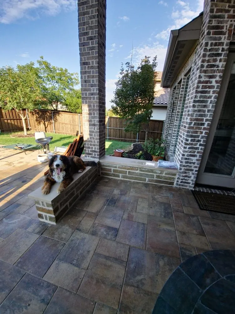 Professional yard maintenance experts serving Frisco, TX - Top Tier RW