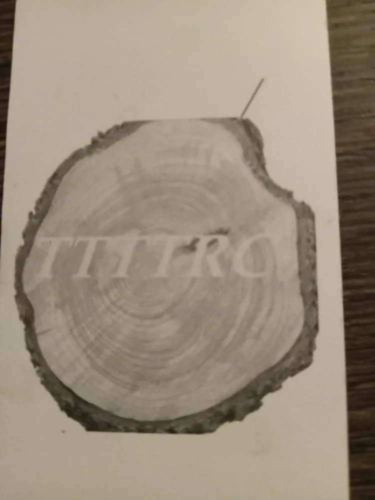 Reliable garden landscaping experts serving Archdale, NC - Top Tier Total Tree & Restoration Conservation