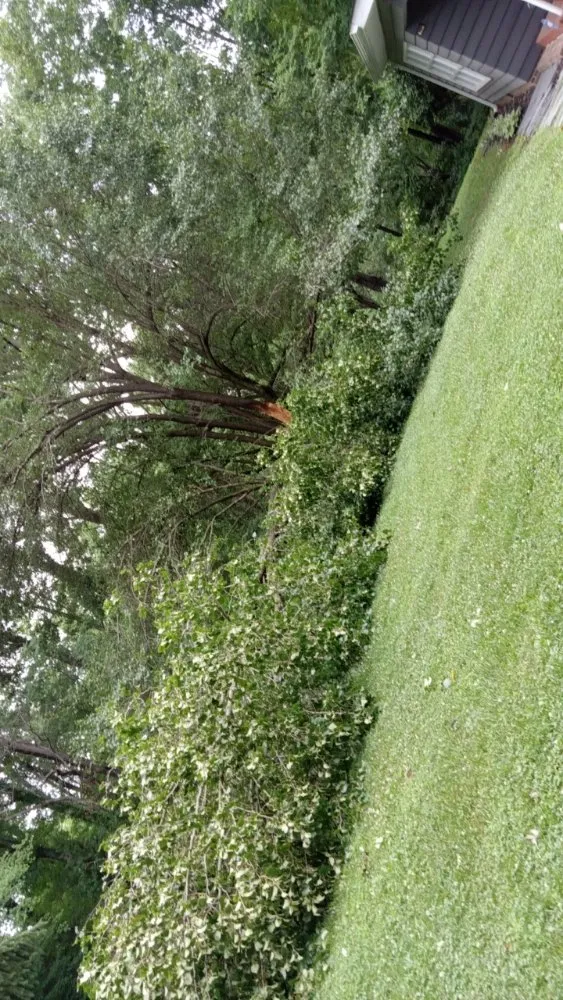 Expert residential landscaping in Archdale, NC - Top Tier Total Tree & Restoration Conservation