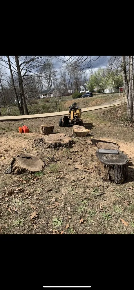 Reliable yard maintenance experts serving Manassas Park, VA - Top Tier Tree and Landscaping