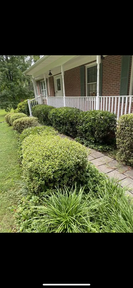Custom yard maintenance experts serving Manassas Park, VA - Top Tier Tree and Landscaping