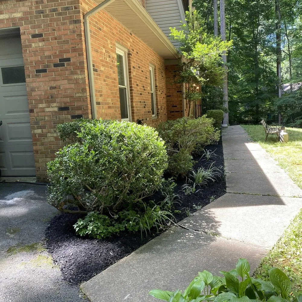 Trusted lawn care service experts serving Manassas Park, VA - Top Tier Tree and Landscaping