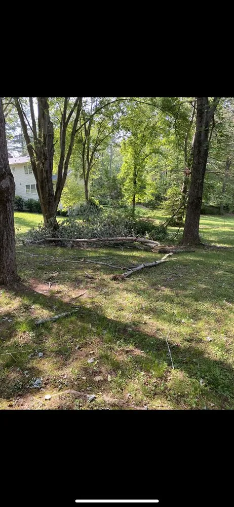 Reliable residential landscaping for residential properties in Manassas Park, VA by Top Tier Tree and Landscaping