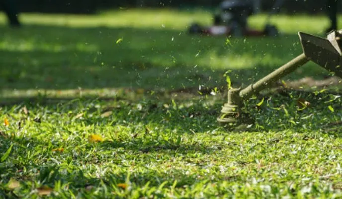 Trusted residential landscaping for outdoor upgrades in Middletown, CT by Top Tier Tree Removal and Landscaping