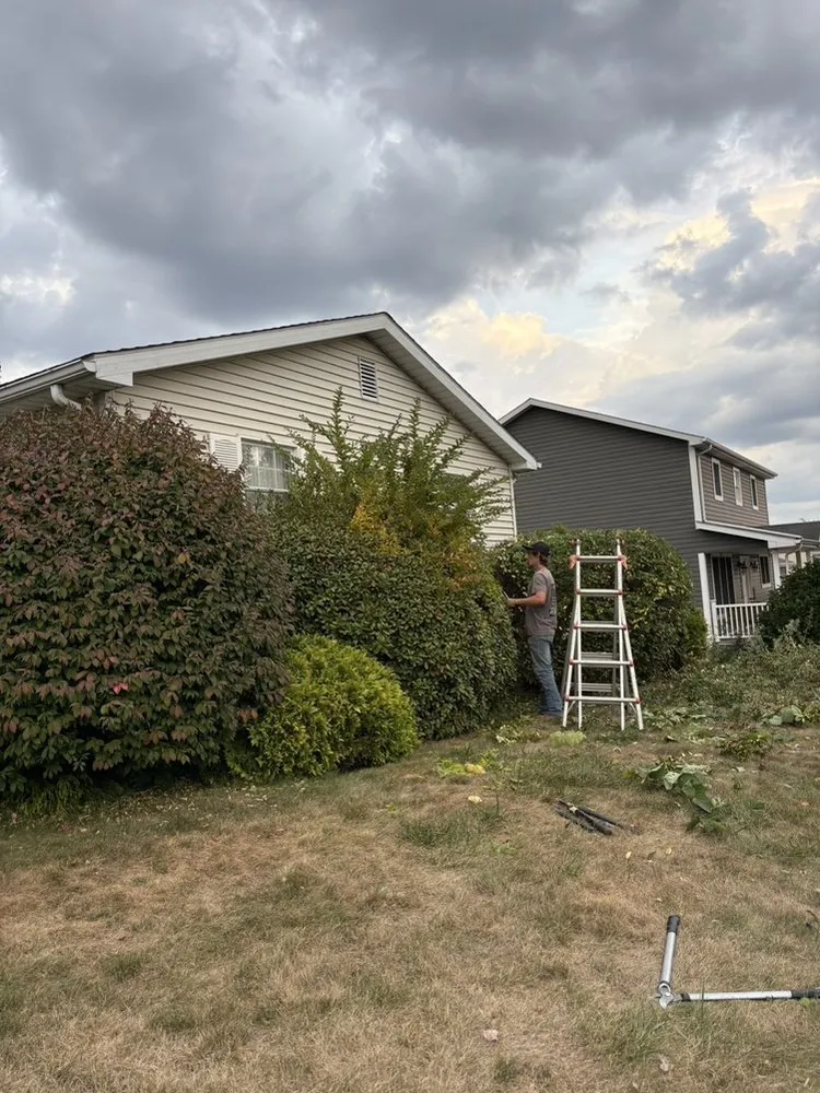 Affordable residential landscaping experts serving Ford City, PA - Top Tier Turf Landscape