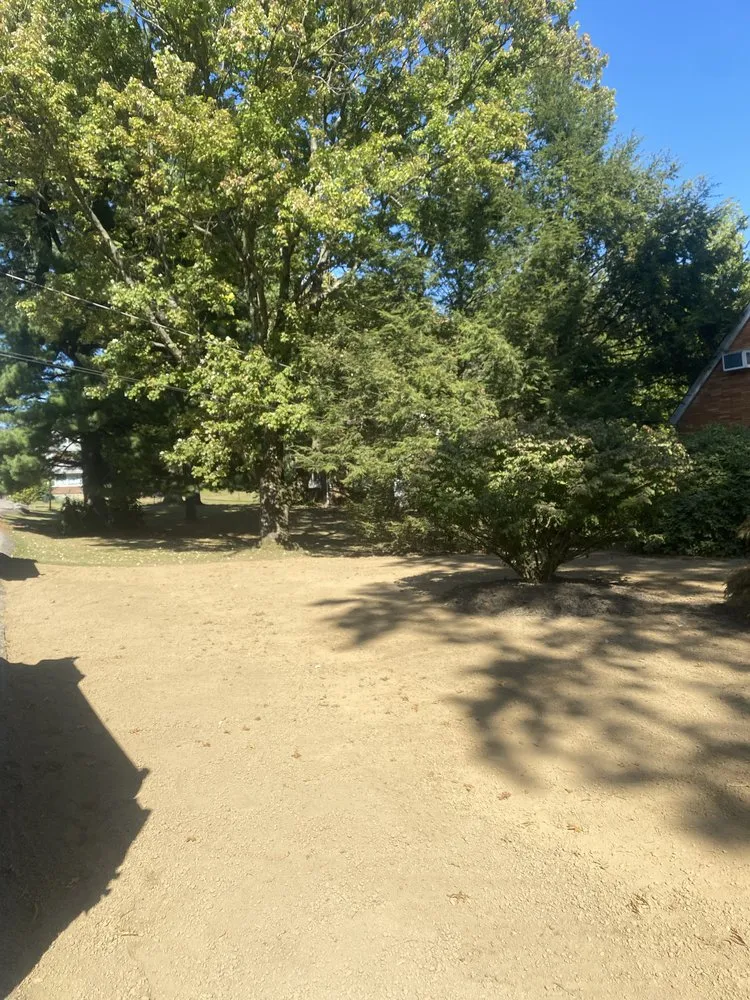 Expert lawn mowing service in Ford City, PA by Top Tier Turf Landscape