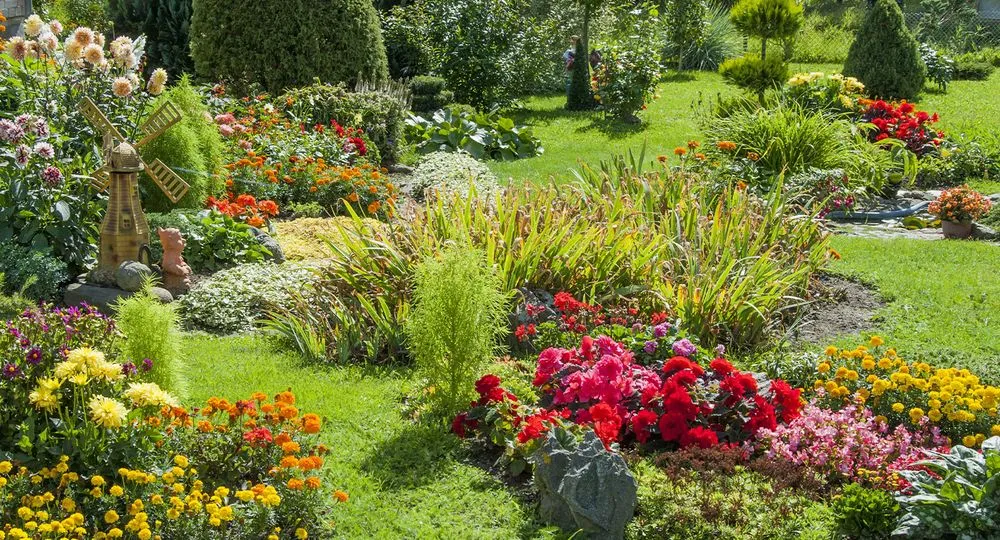 Reliable yard maintenance in Fort Collins, CO by Top Tier Turfing