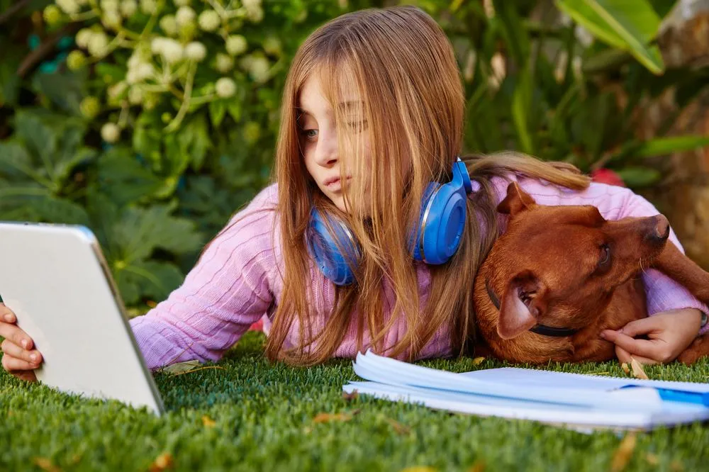 Professional landscape design experts serving Fort Collins, CO - Top Tier Turfing