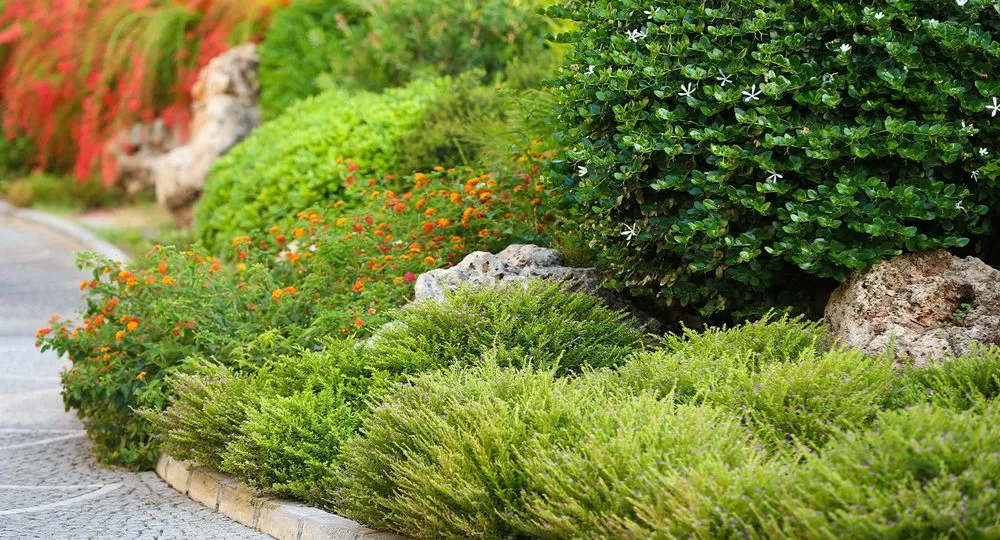 Affordable landscape installation in Fort Collins, CO - Top Tier Turfing