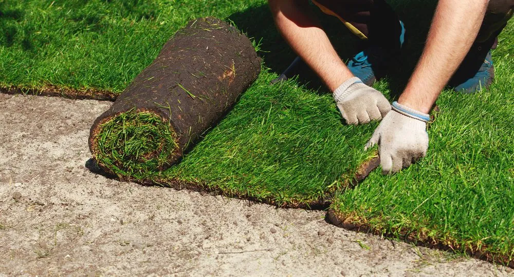 Reliable yard cleanup service for residential properties across Fort Collins, CO - Top Tier Turfing