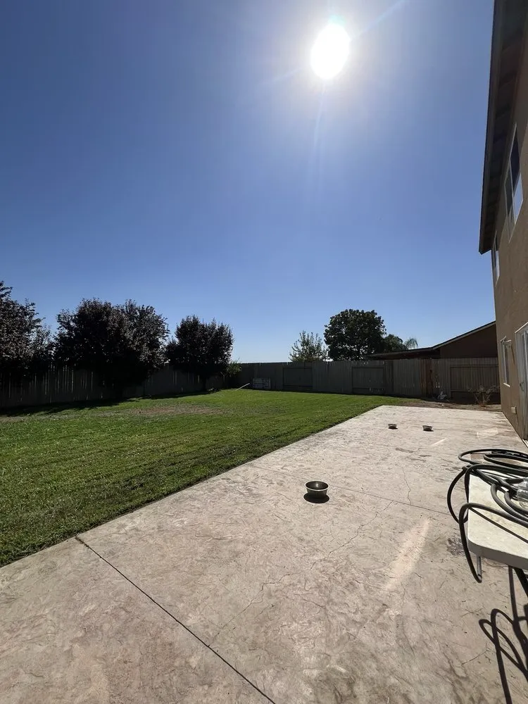 Affordable yard cleanup service in Bakersfield, CA by Top Tier Turfs