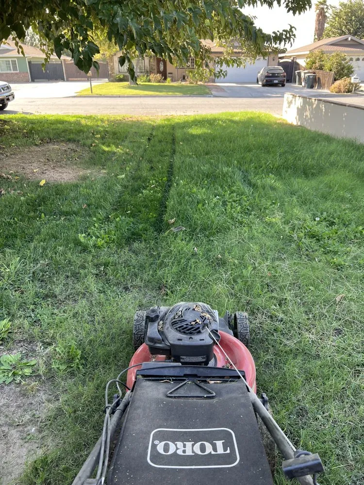 Affordable garden landscaping experts serving Bakersfield, CA - Top Tier Turfs