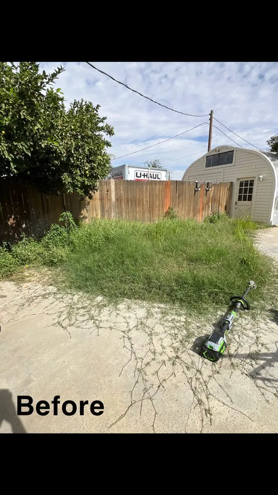 Expert yard maintenance for year-round maintenance across Bakersfield, CA - Top Tier Turfs