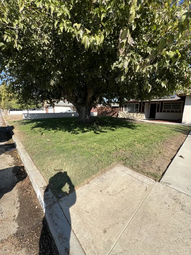 Trusted garden landscaping in Bakersfield, CA - Top Tier Turfs