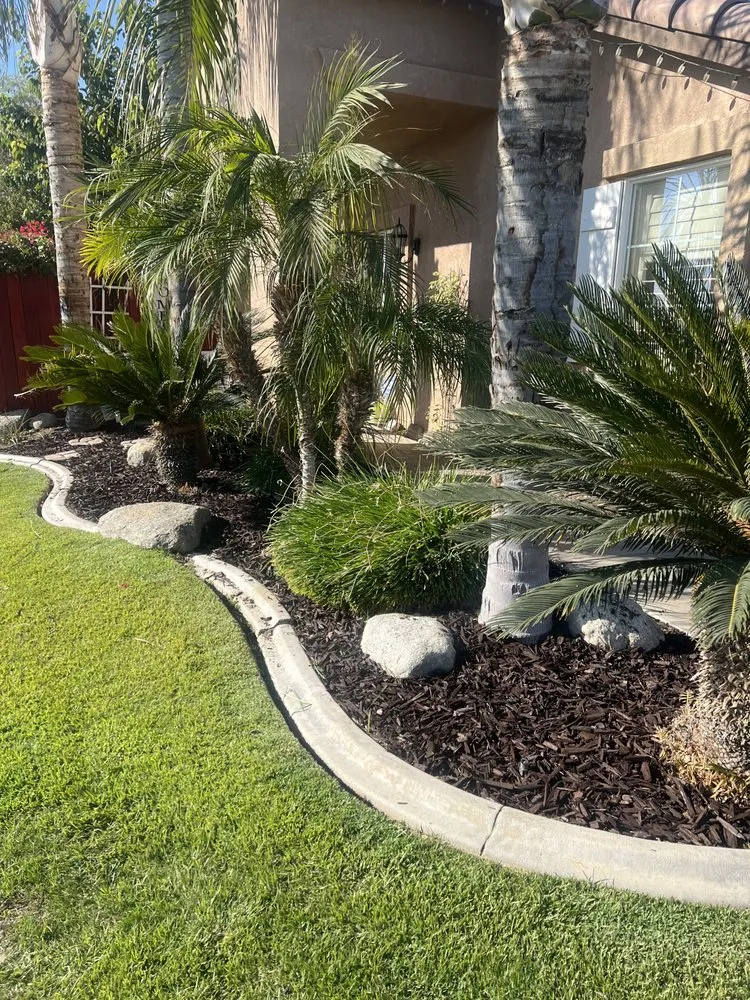 Top-rated yard cleanup service in Bakersfield, CA by Top Tier Turfs