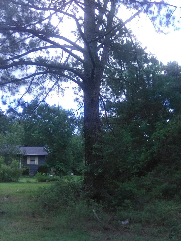 Reliable yard maintenance in Elgin, SC by Top to Bottom Complete Curb Appeal