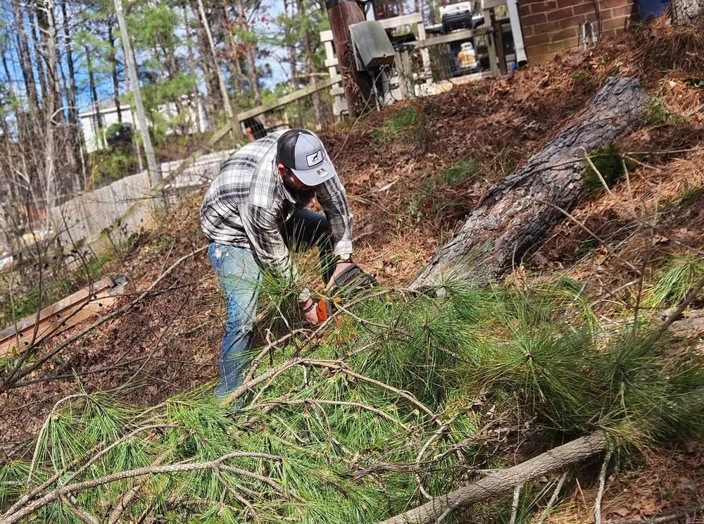 Trusted outdoor landscaping in Elgin, SC - Top to Bottom Complete Curb Appeal
