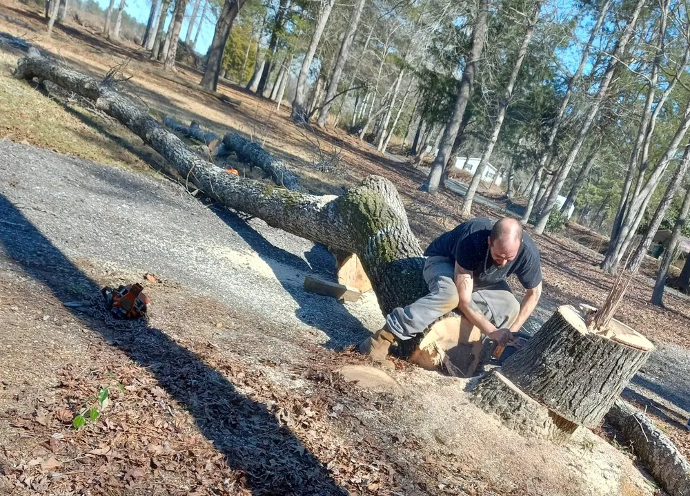 Trusted outdoor landscaping in Elgin, SC by Top to Bottom Complete Curb Appeal