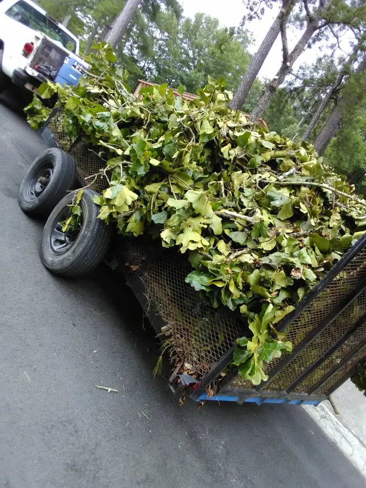 Professional yard cleanup service experts serving Elgin, SC - Top to Bottom Complete Curb Appeal