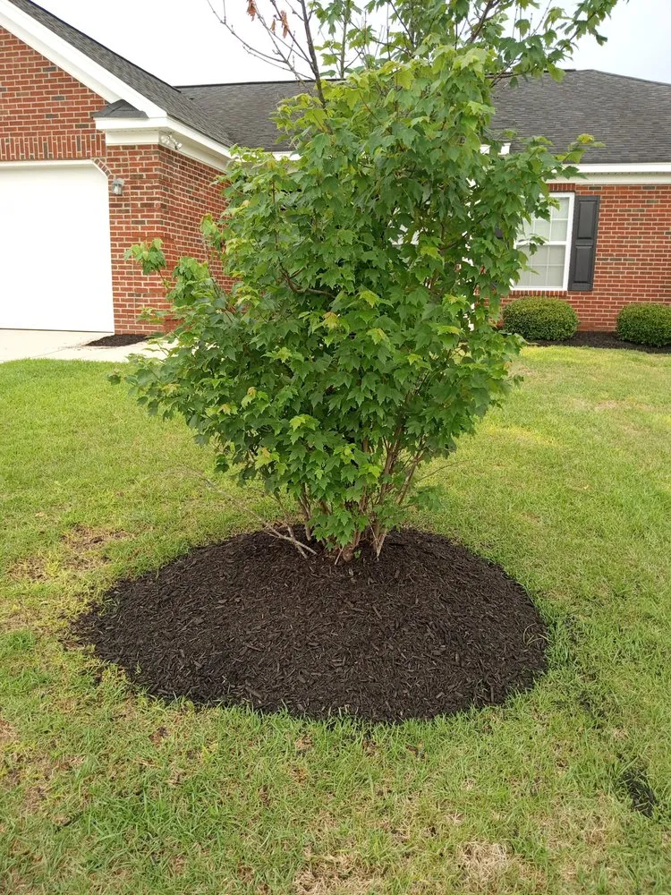 Expert lawn mowing service experts serving Elgin, SC - Top to Bottom Complete Curb Appeal