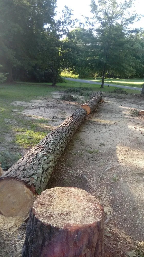 Expert landscape design experts serving Elgin, SC - Top to Bottom Complete Curb Appeal