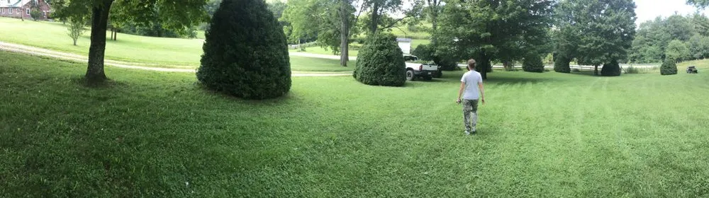 Trusted yard cleanup service in Sapphire, NC by Top to Bottom Housekeeping and Landscaping