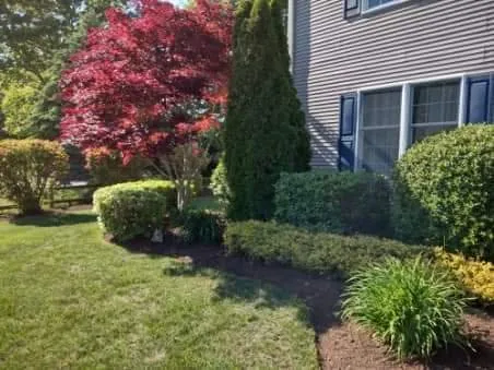 Affordable landscaping services in Bourne, MA by Top to Bottom Tree and Landscaping services