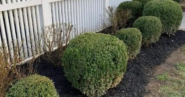 Custom landscaping services experts serving Bourne, MA - Top to Bottom Tree and Landscaping services