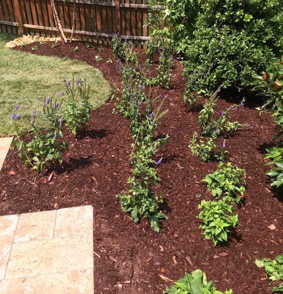 Local landscape installation for beautiful yards in Bourne, MA by Top to Bottom Tree and Landscaping services