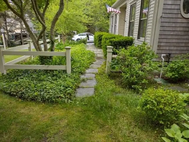 Reliable yard cleanup service experts serving Bourne, MA - Top to Bottom Tree and Landscaping services