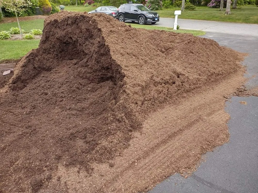 Top-rated landscaping services in Bourne, MA by Top to Bottom Tree and Landscaping services