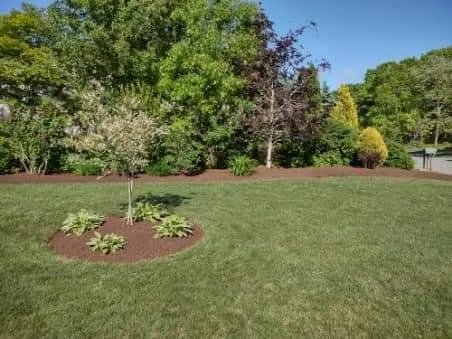 Expert garden landscaping experts serving Bourne, MA - Top to Bottom Tree and Landscaping services
