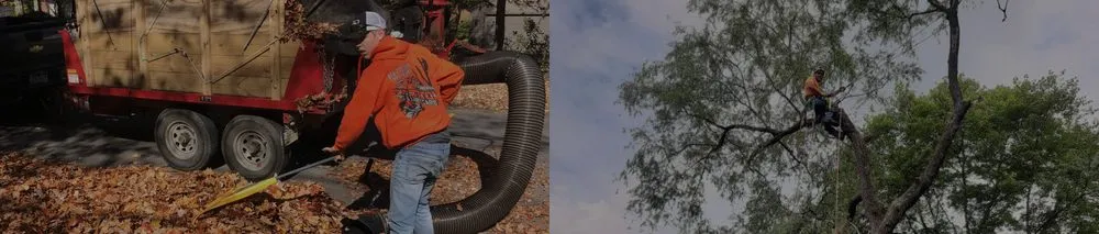 Reliable lawn mowing service for beautiful yards across DuBois, PA - Top To Bottom Tree And Lawn Care