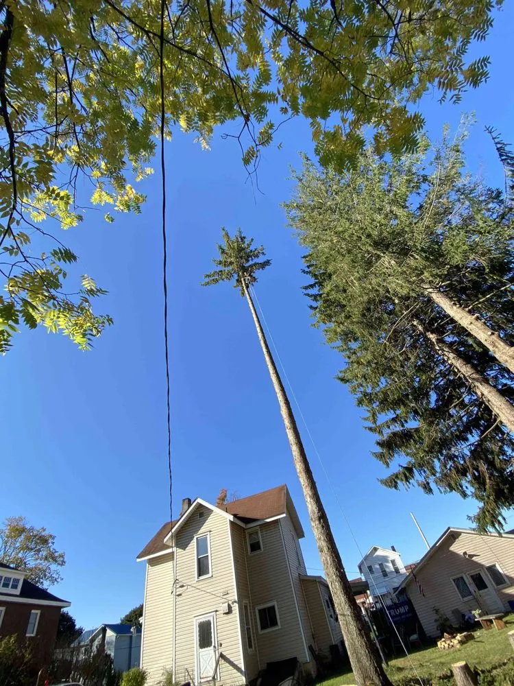 Custom landscape design in DuBois, PA - Top To Bottom Tree And Lawn Care