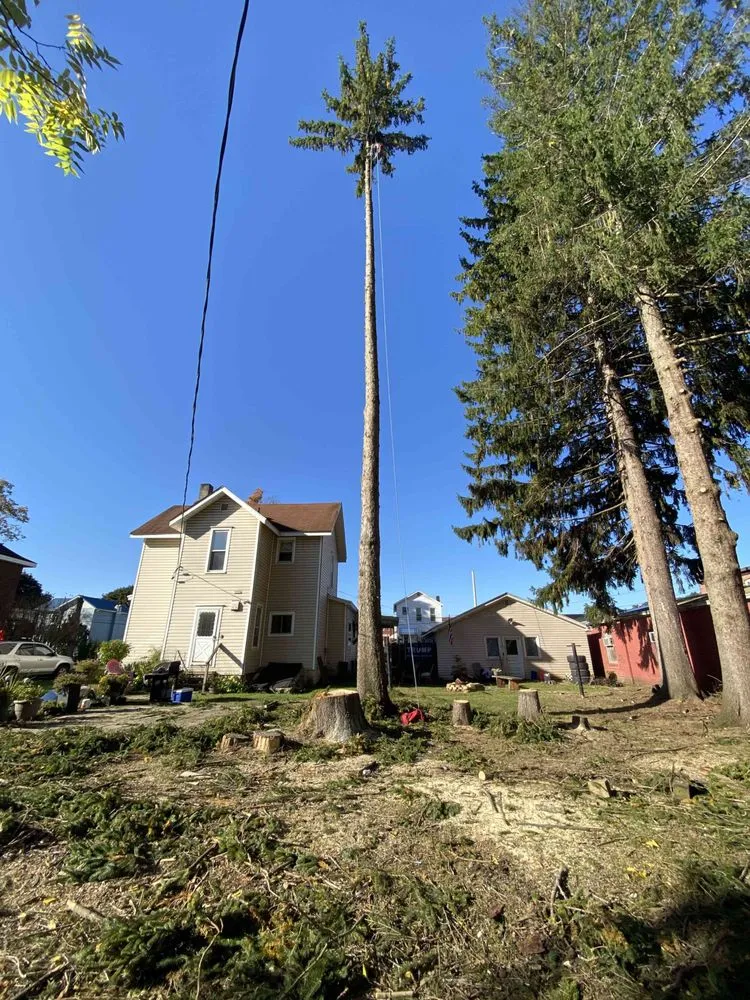 Professional landscape installation experts serving DuBois, PA - Top To Bottom Tree And Lawn Care