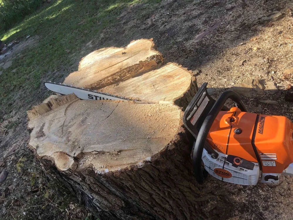 Top-rated lawn care service in DuBois, PA - Top To Bottom Tree And Lawn Care