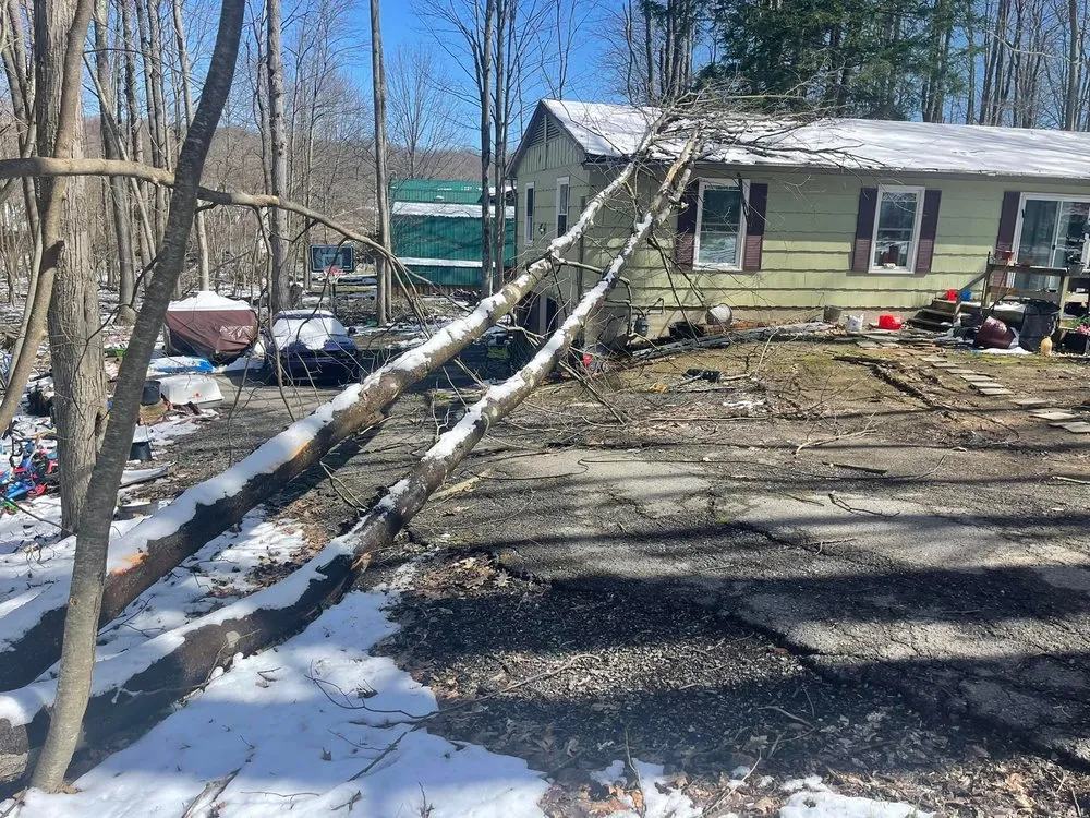 Affordable lawn care service in DuBois, PA - Top To Bottom Tree And Lawn Care