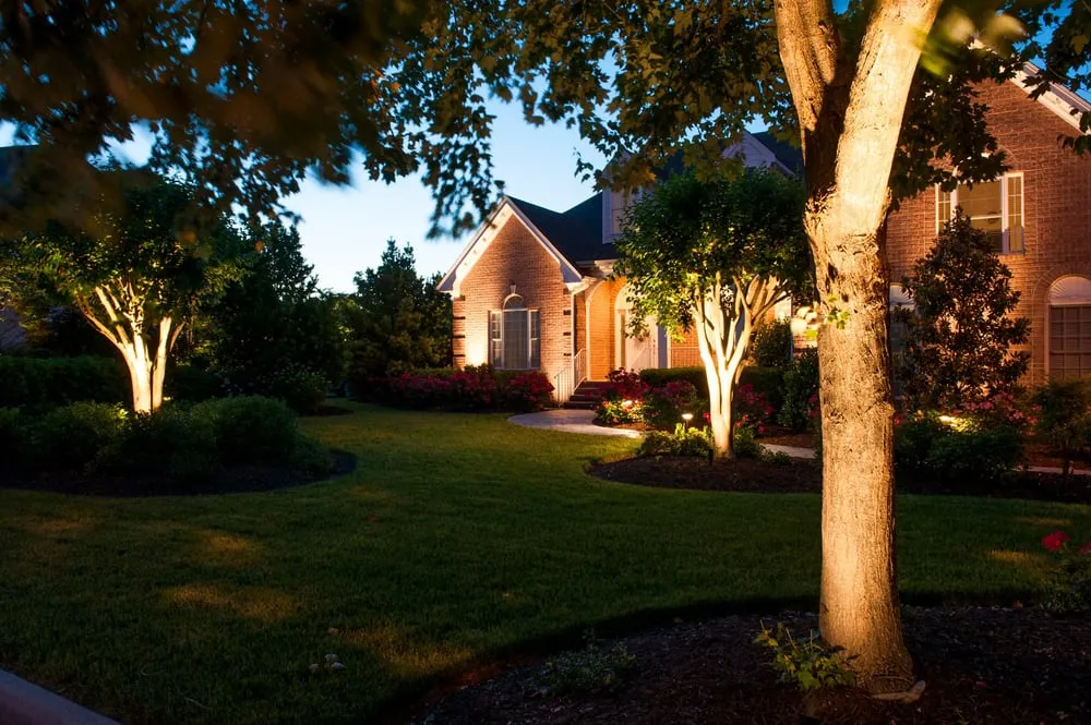 Top-rated lawn mowing service in Foley, AL - Top To Bottom Tree Care