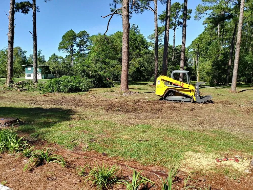 Trusted yard cleanup service experts serving Foley, AL - Top To Bottom Tree Care