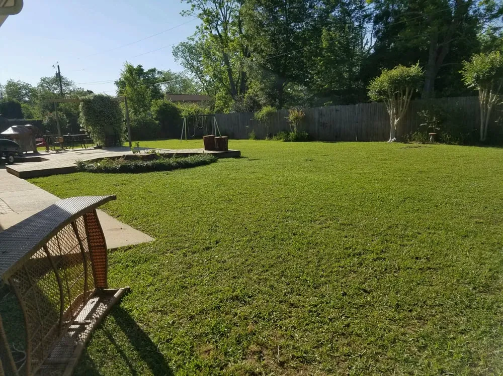 Custom yard maintenance experts serving Foley, AL - Top To Bottom Tree Care