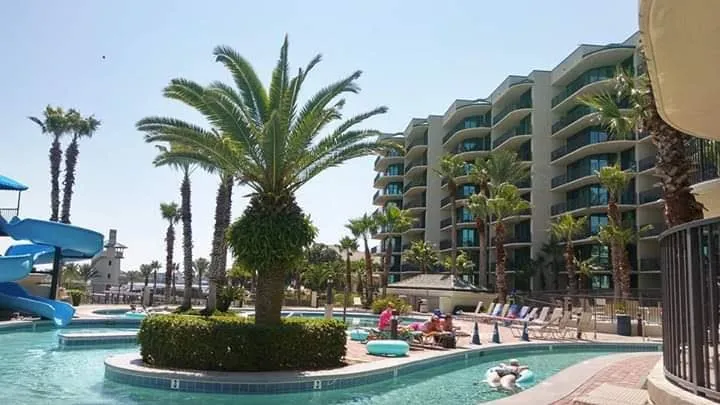 Local yard maintenance in Foley, AL - Top To Bottom Tree Care