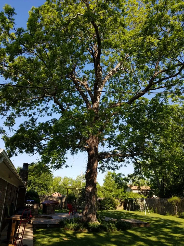 Custom landscape installation in Foley, AL - Top To Bottom Tree Care