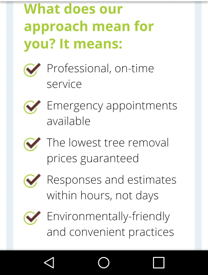 Expert yard cleanup service in Foley, AL - Top To Bottom Tree Care