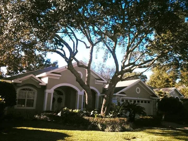 Expert outdoor landscaping in Foley, AL by Top To Bottom Tree Care