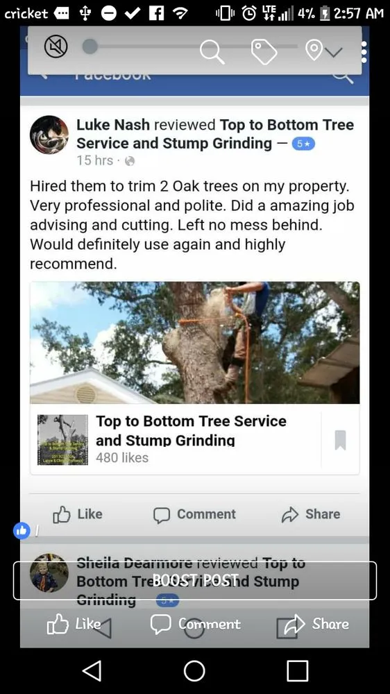 Expert garden landscaping for beautiful yards in Foley, AL by Top To Bottom Tree Care