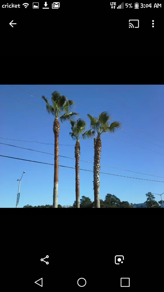 Local outdoor landscaping in Foley, AL - Top To Bottom Tree Care
